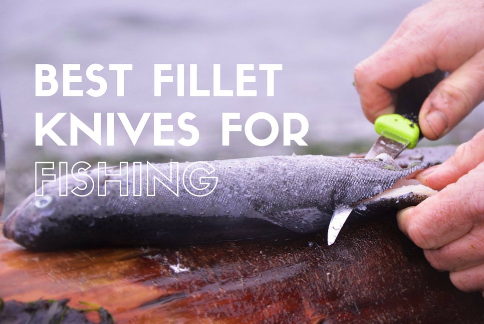 10 Best Fillet Knives For Fishing 2019 Reviews & Buying