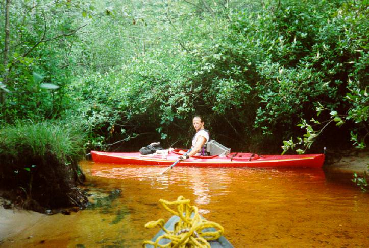 Kayaking In Batsto River