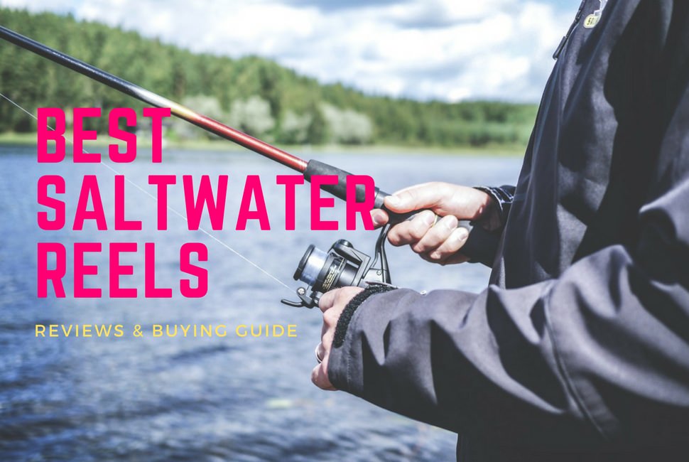 Best Saltwater Reels