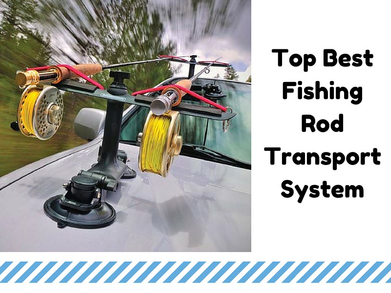 Top Best Fishing Rod Transport System