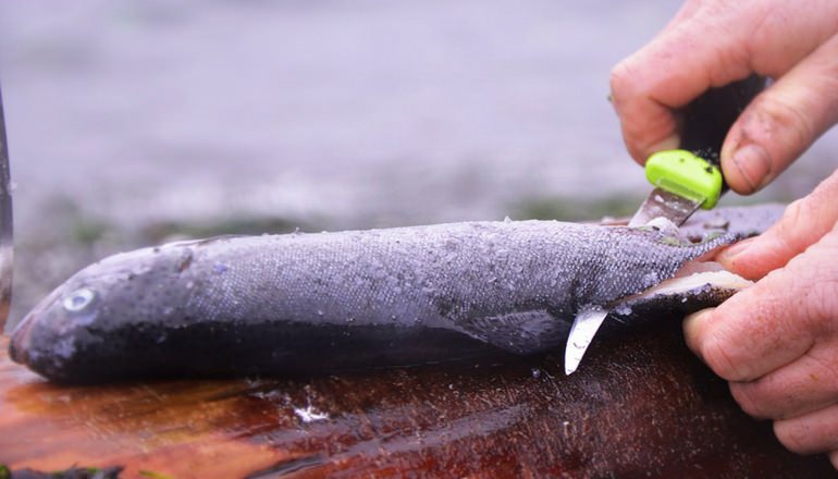 Morakniv Fishing Comfort Fillet Knife