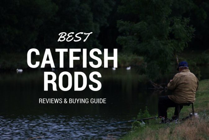 Best Catfish Rods 2024 - The Best Rods For Catfish (Review & Guide)