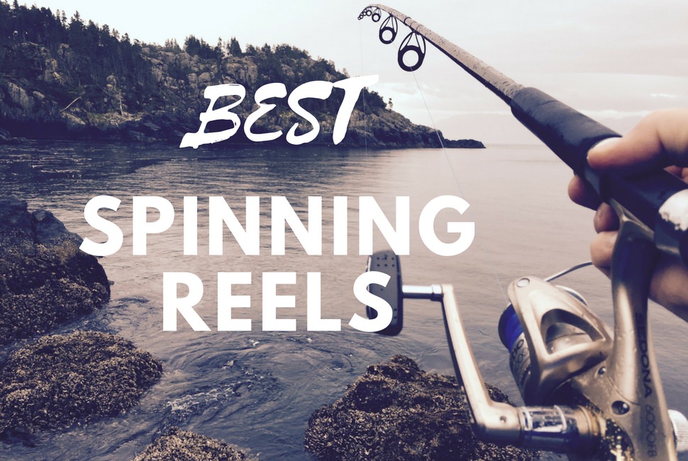 Best Spinning Reels