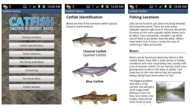 Catfish Tactics & Secret Baits android app