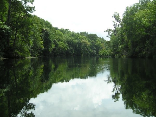 wakulla river