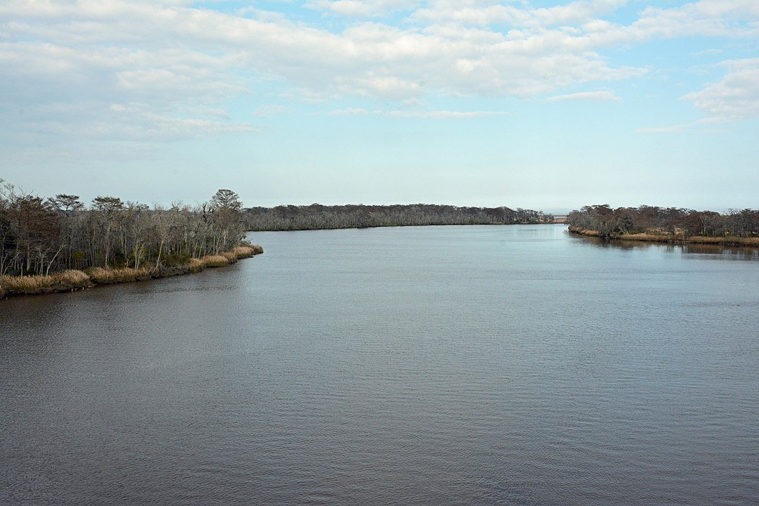 The Altamaha River viewed from the bridge between Glynn County and McIntosh County