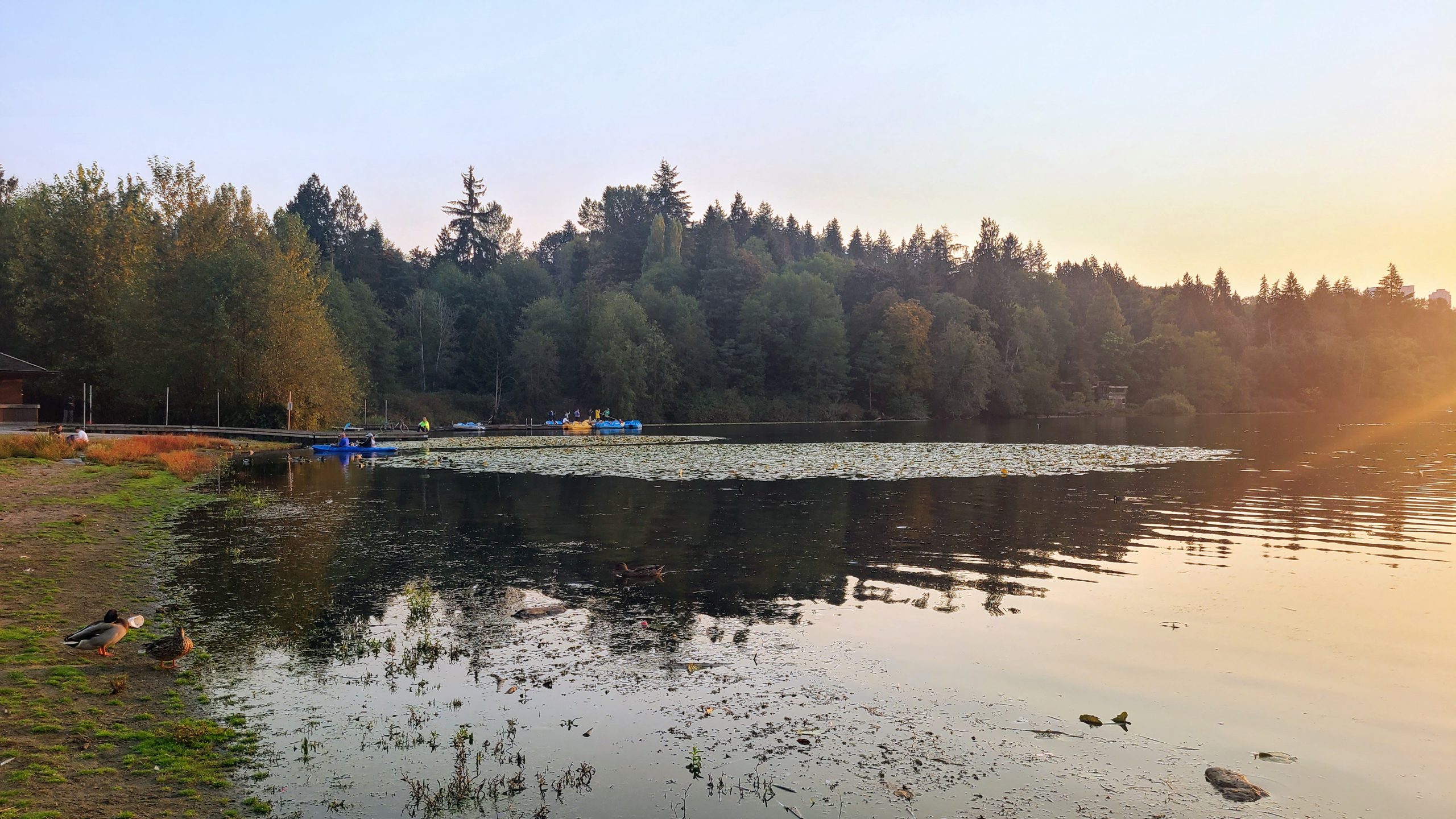a picture of people kayaking in the burnaby deer lake park