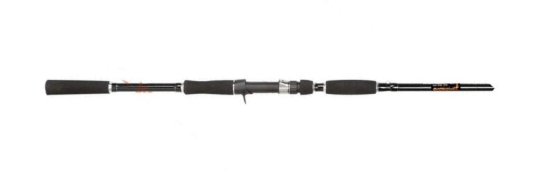 Best Catfish Rods 2025 - The Best Rods For Catfish (Review & Guide)