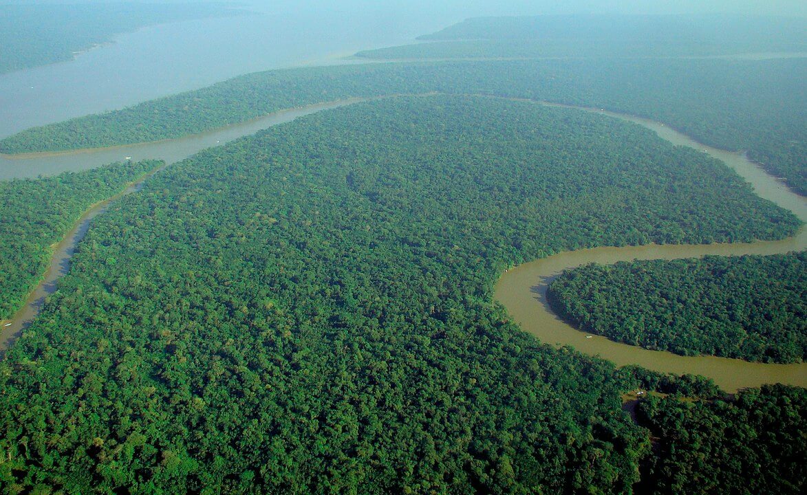 1173px Aerial view of the Amazon Rainforest 1